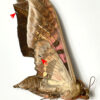 Adhemarius ypsilon - Image 2